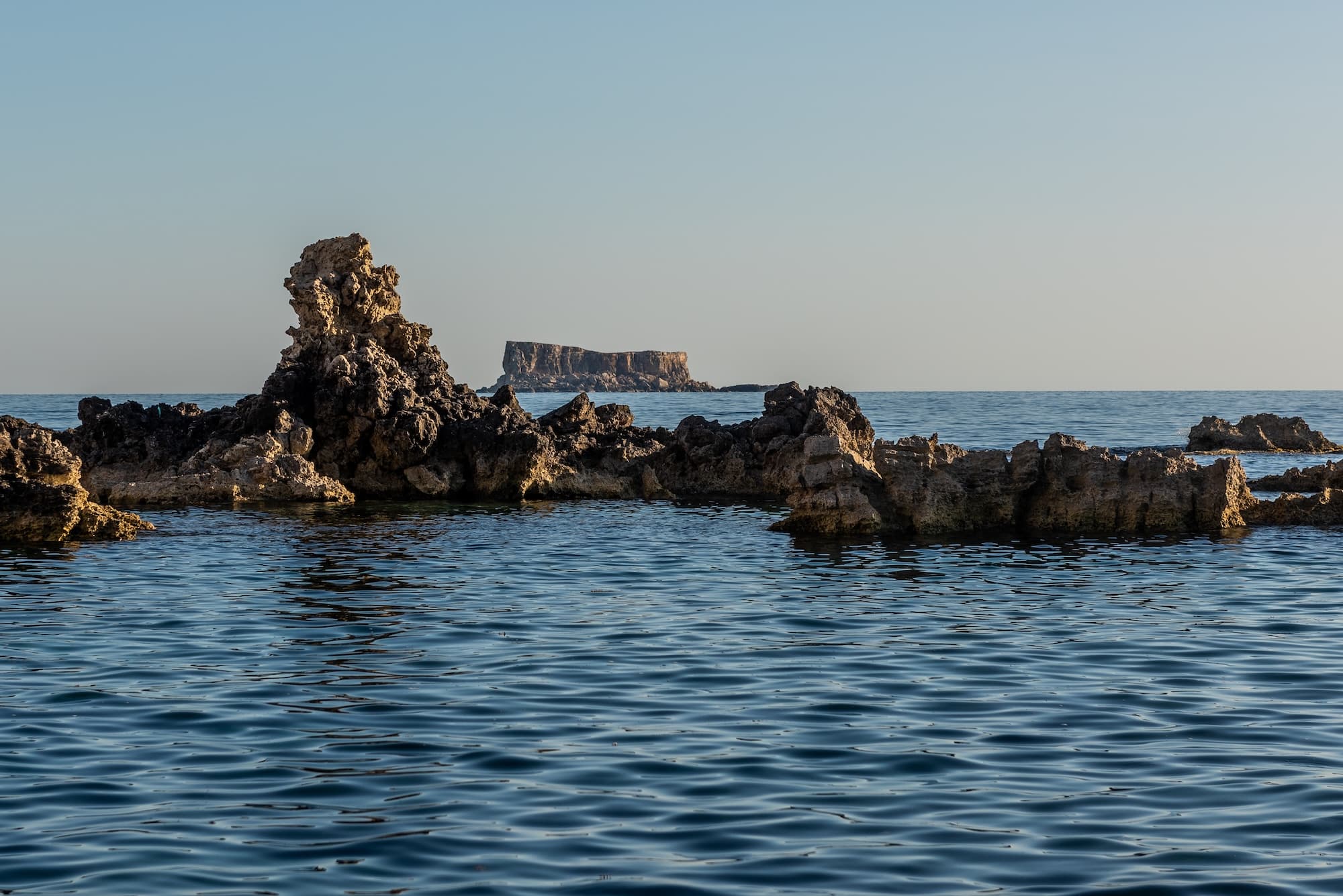 Zibel ocean conservation